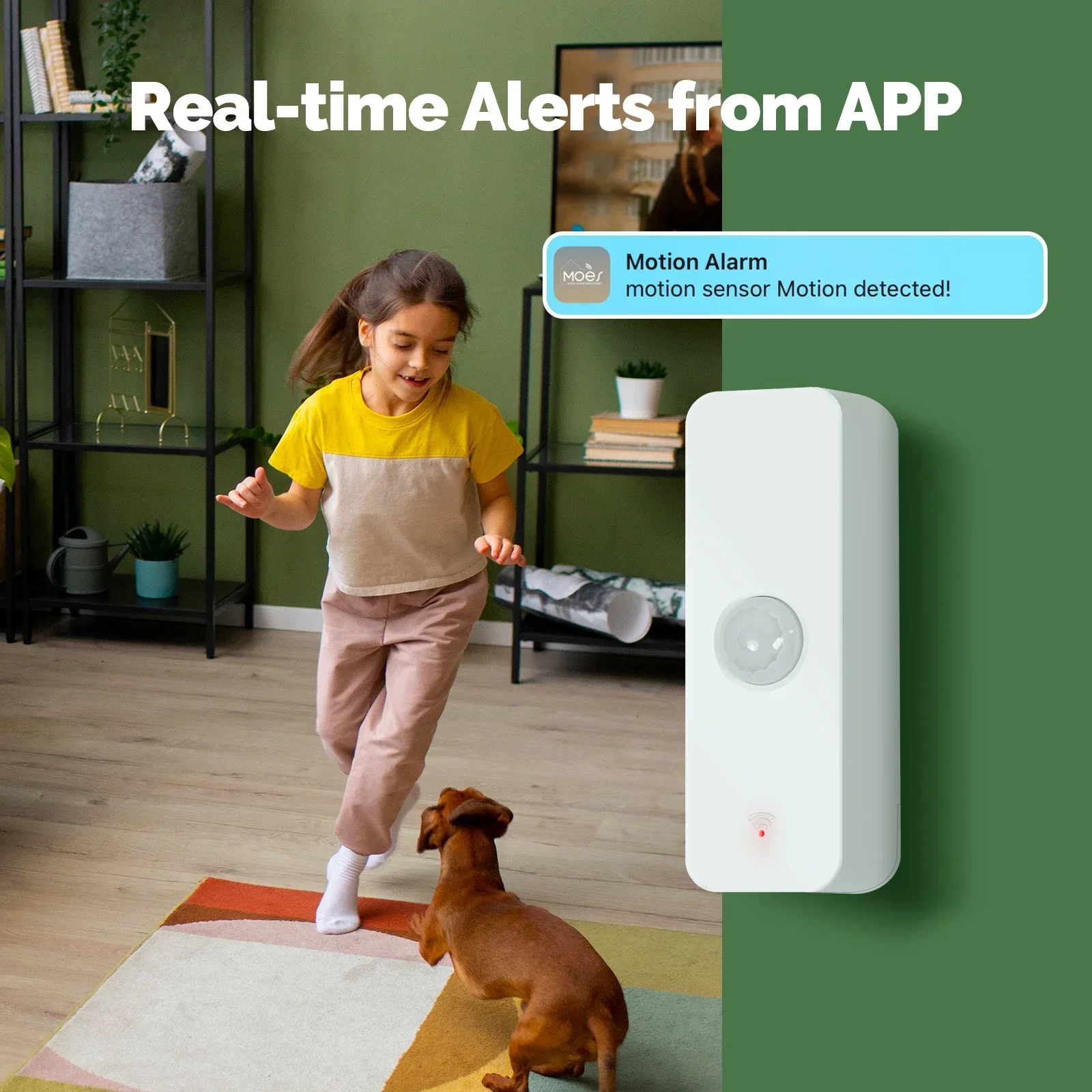 MOES Tuya WiFi/ZigBee akıllı P - Smart Home Ikea incelemesi ve fiyatı