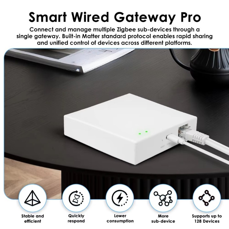 Matter Kablolu Ağ Geçidi, Akıl - Smart Home Offline System incelemesi ve fiyatı